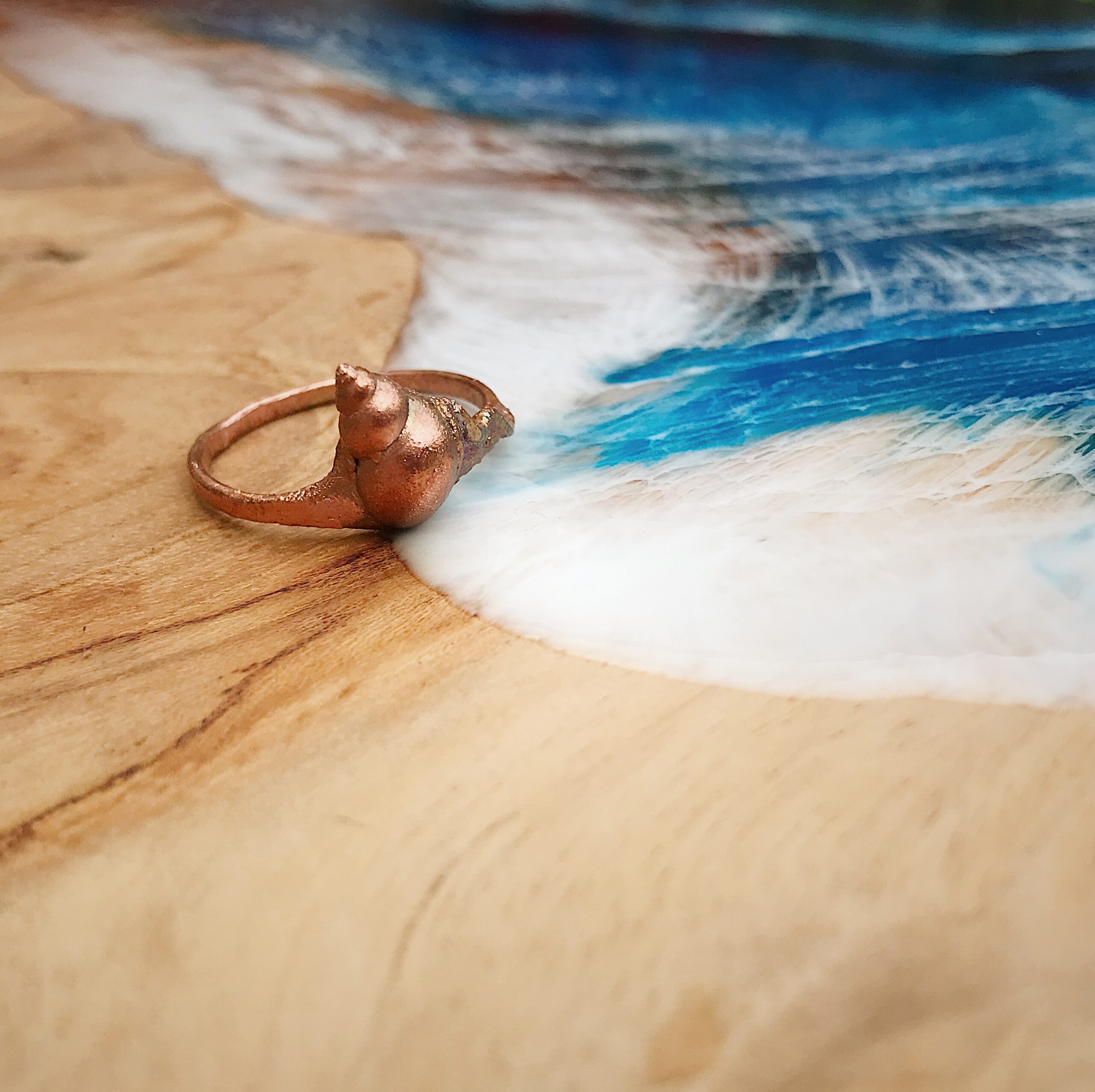 Alternative view of Ring met echte schelp