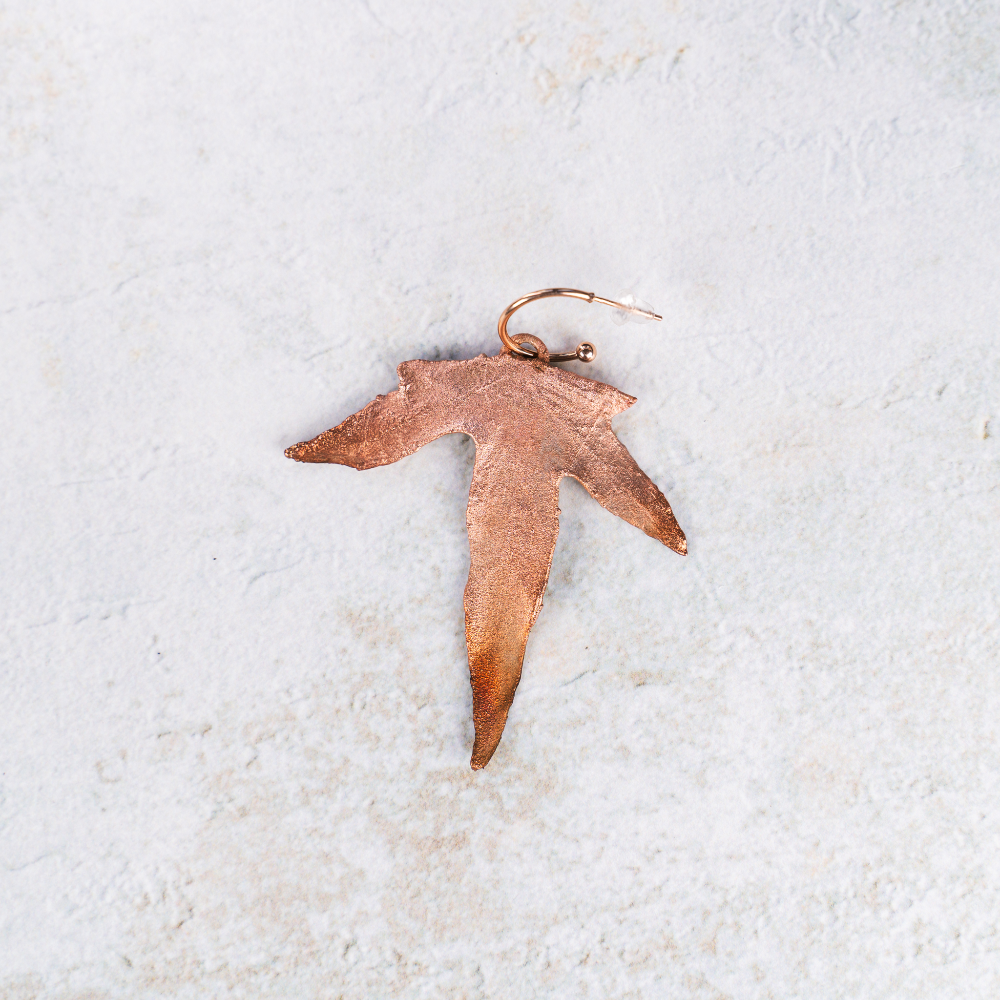 Hedra oorbellen - Afbeelding 2