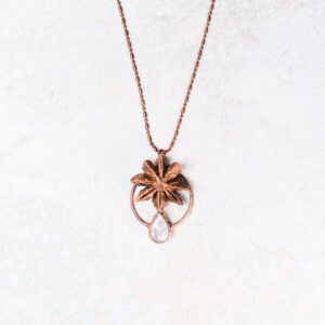 Halsketting met steranijs