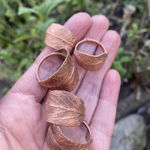 Alternative view of Ring van salieblad